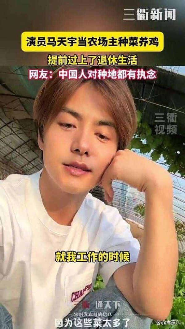 马天宇农场真相曝光400只鸡却每天只下100蛋,揭开幕后奥密
